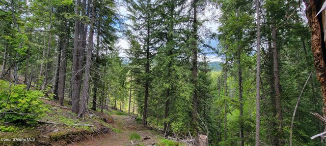NNA Pup Paw Trail - North, Priest River, ID 83856