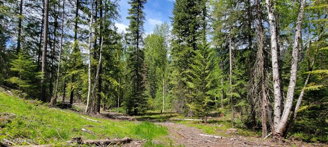 NNA Pup Paw Trail - North, Priest River, ID 83856