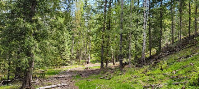 NNA Pup Paw Trail - North, Priest River, ID 83856