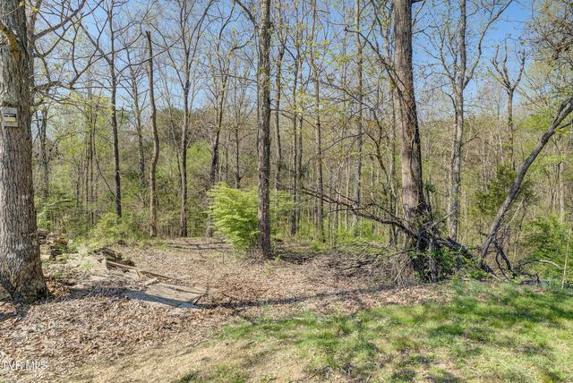 156 Cobble Lane, Greeneville, TN 37743