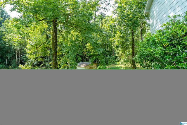 607 BASSWOOD DRIVE, Adamsville, AL 35005