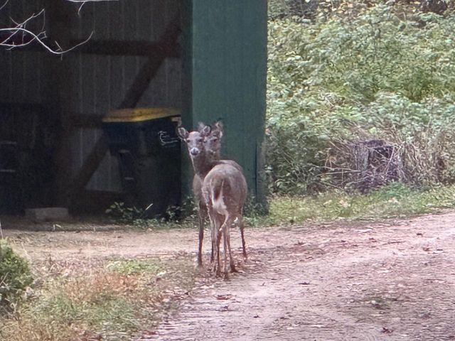 22495 County Hwy DD Road, Richland Center, WI 53581