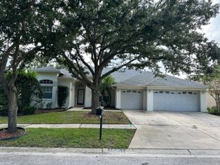 19211 DOVE CREEK DRIVE, Tampa, FL 33647