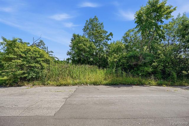 498 Concord Street, Detroit, MI 48207