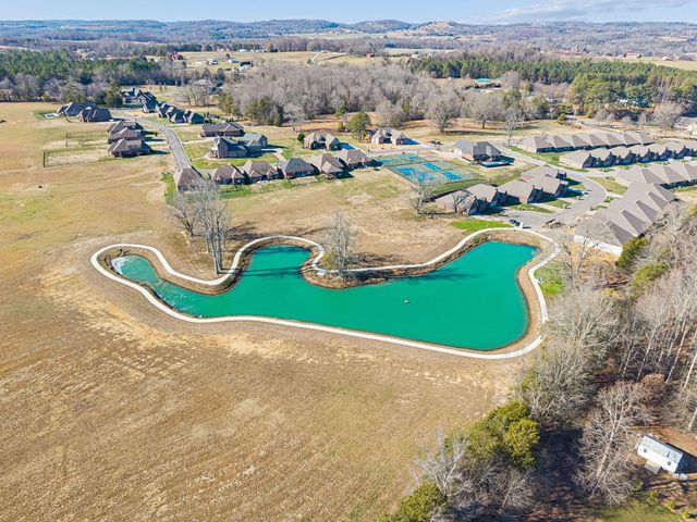 219 Lake View Point, Englewood, TN 37329