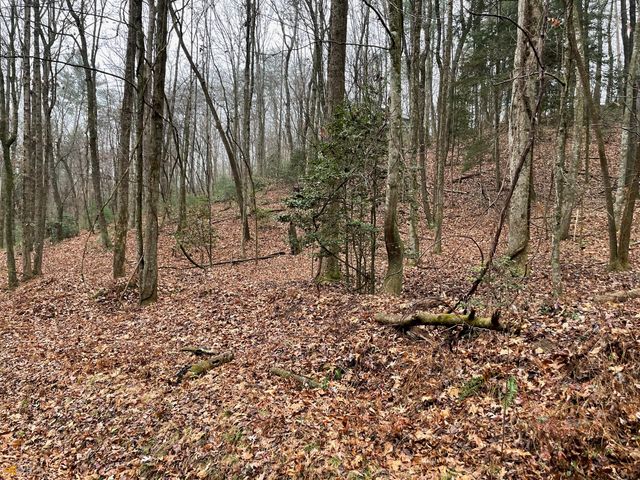 0 Walhalla Court LOT 387, Ellijay, GA 30540