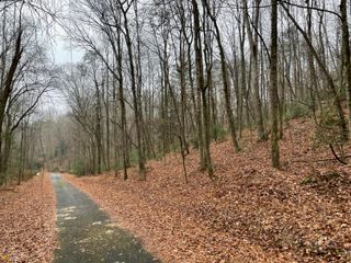 0 Walhalla Court LOT 387, Ellijay, GA 30540