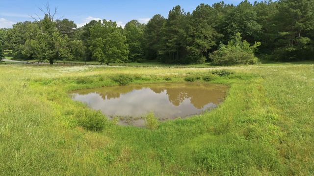 1955 Trace Creek Road, Mc Ewen, TN 37101