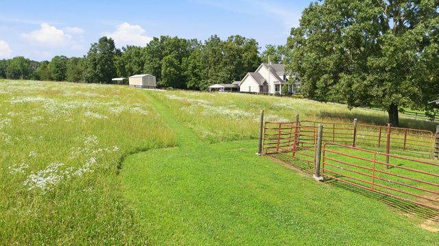 1955 Trace Creek Road, Mc Ewen, TN 37101