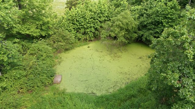 1955 Trace Creek Road, Mc Ewen, TN 37101