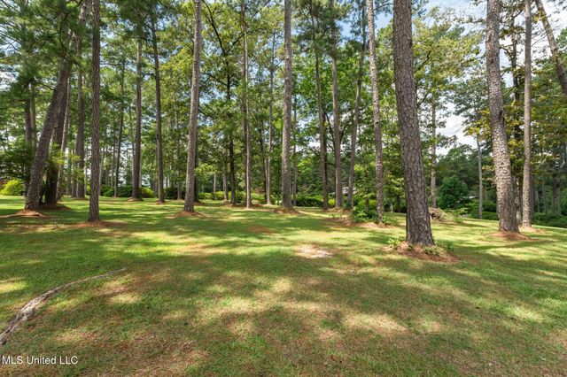 307 Salem School Road, Collins, MS 39428