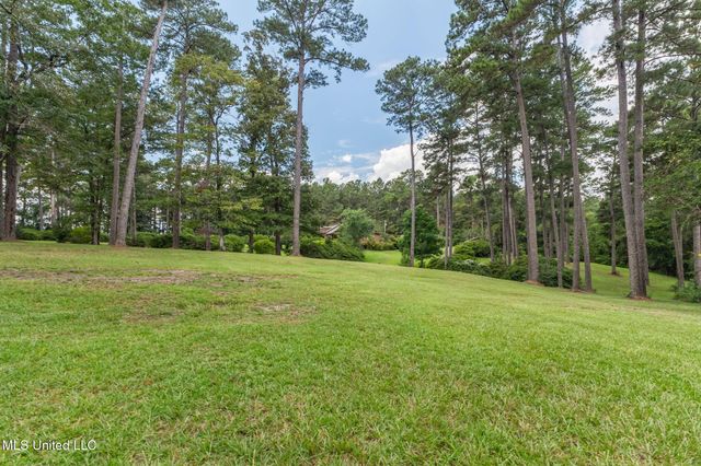 307 Salem School Road, Collins, MS 39428