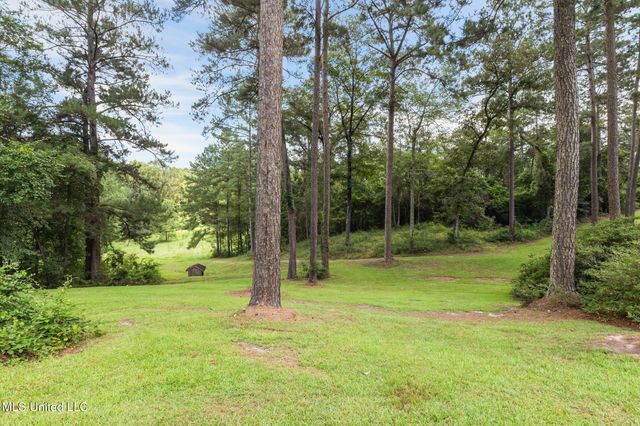 307 Salem School Road, Collins, MS 39428