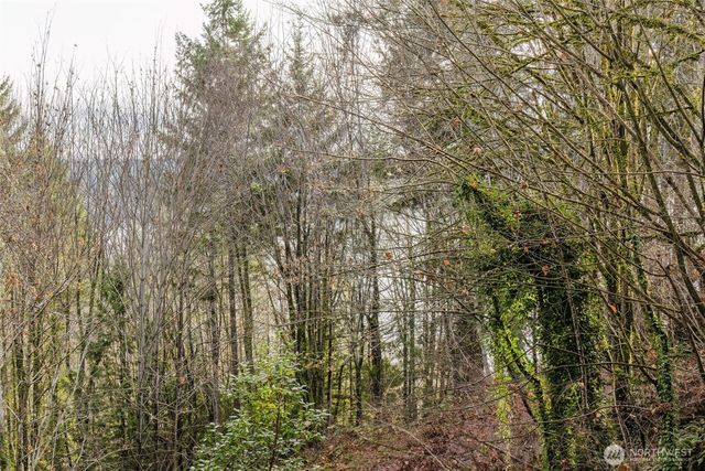 160 NE Virginia Avenue, Belfair, WA 98528