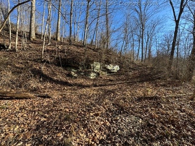 122 Terrace Lane, Alum Creek, WV 25003