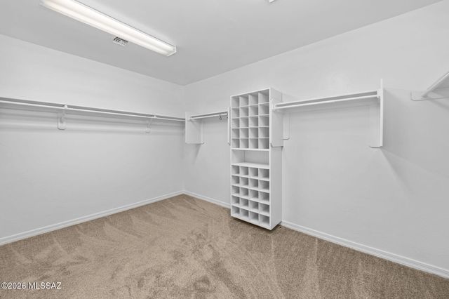 17237 S Painted Vistas Way, Vail, AZ 85641