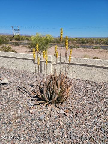 877 E LANCASTER Circle, Florence, AZ 85132