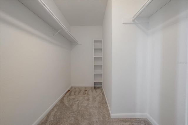 9100 DR MARTIN LUTHER KING JR STREET N 905, St Petersburg, FL 33702