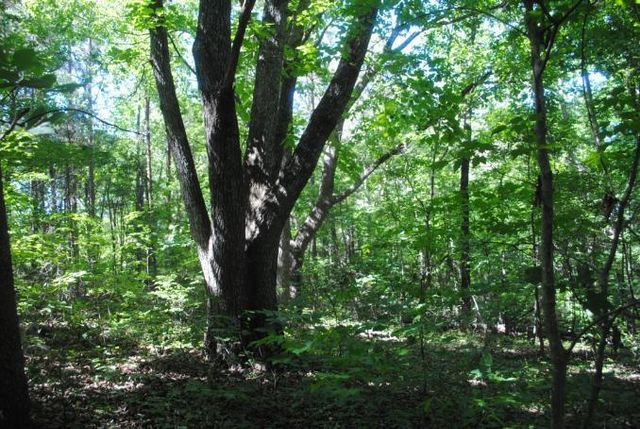 0 S Marble Top Road, Chickamauga, GA 30707