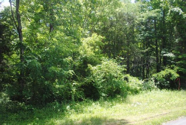 0 S Marble Top Road, Chickamauga, GA 30707
