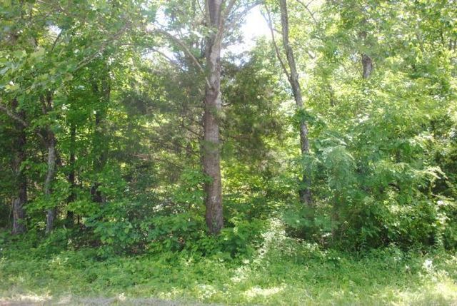 0 S Marble Top Road, Chickamauga, GA 30707