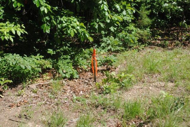 0 S Marble Top Road, Chickamauga, GA 30707