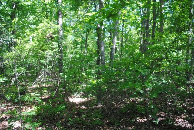 0 S Marble Top Road, Chickamauga, GA 30707