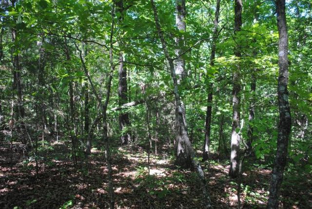 0 S Marble Top Road, Chickamauga, GA 30707