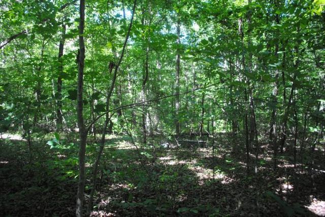 0 S Marble Top Road, Chickamauga, GA 30707
