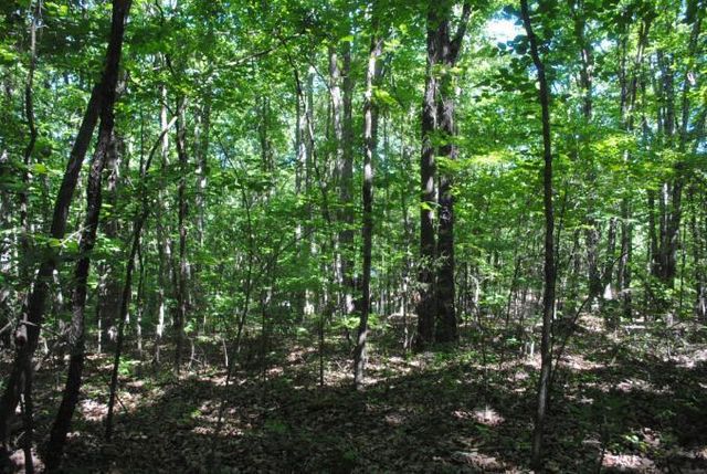 0 S Marble Top Road, Chickamauga, GA 30707
