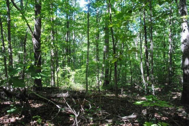 0 S Marble Top Road, Chickamauga, GA 30707