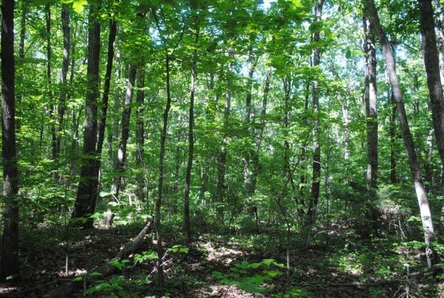 0 S Marble Top Road, Chickamauga, GA 30707