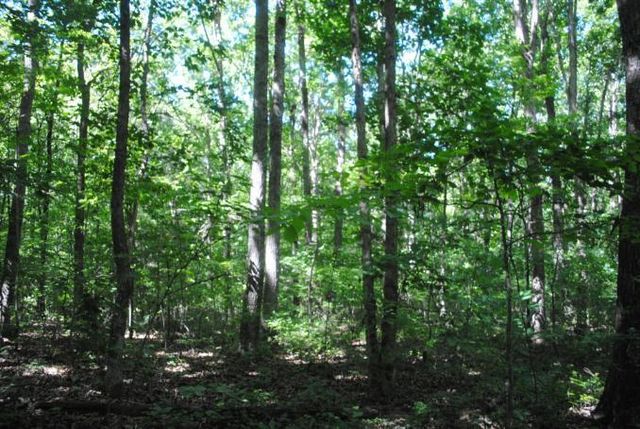 0 S Marble Top Road, Chickamauga, GA 30707