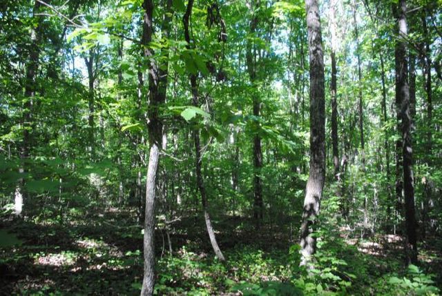 0 S Marble Top Road, Chickamauga, GA 30707