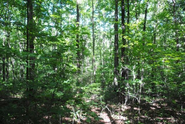 0 S Marble Top Road, Chickamauga, GA 30707
