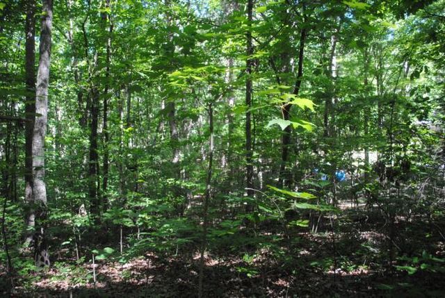 0 S Marble Top Road, Chickamauga, GA 30707