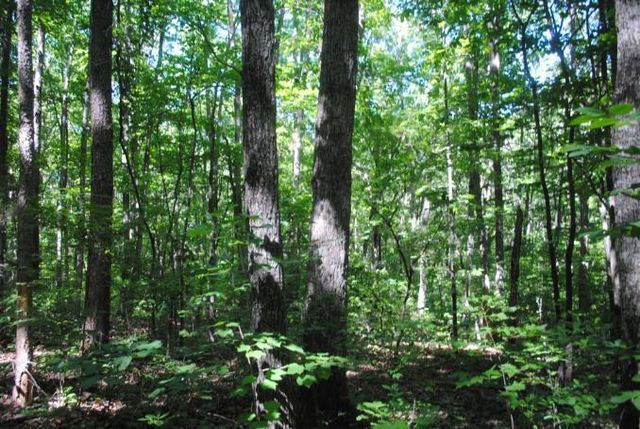 0 S Marble Top Road, Chickamauga, GA 30707