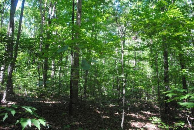 0 S Marble Top Road, Chickamauga, GA 30707