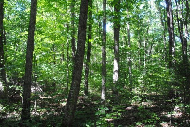 0 S Marble Top Road, Chickamauga, GA 30707