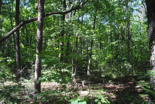 0 S Marble Top Road, Chickamauga, GA 30707