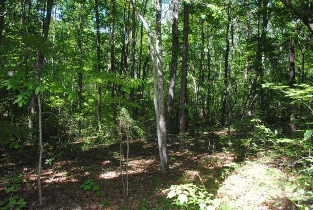 0 S Marble Top Road, Chickamauga, GA 30707