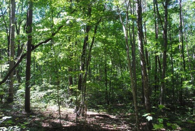 0 S Marble Top Road, Chickamauga, GA 30707