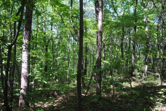 0 S Marble Top Road, Chickamauga, GA 30707