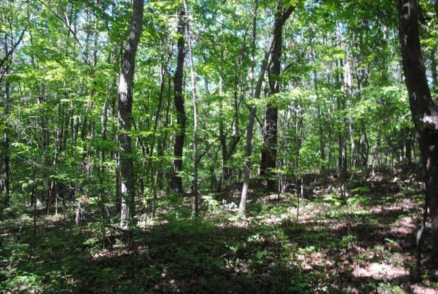 0 S Marble Top Road, Chickamauga, GA 30707