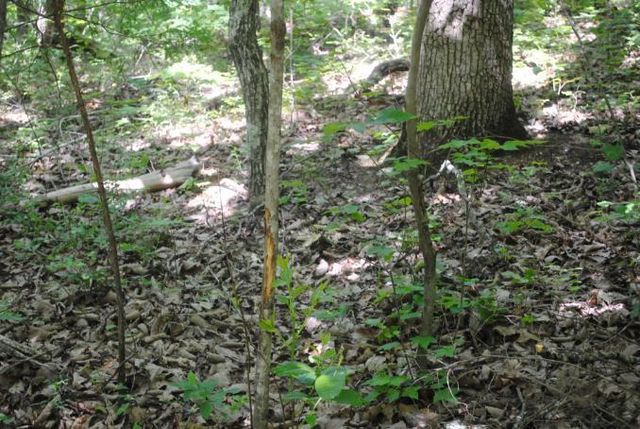 0 S Marble Top Road, Chickamauga, GA 30707