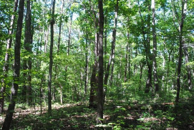 0 S Marble Top Road, Chickamauga, GA 30707