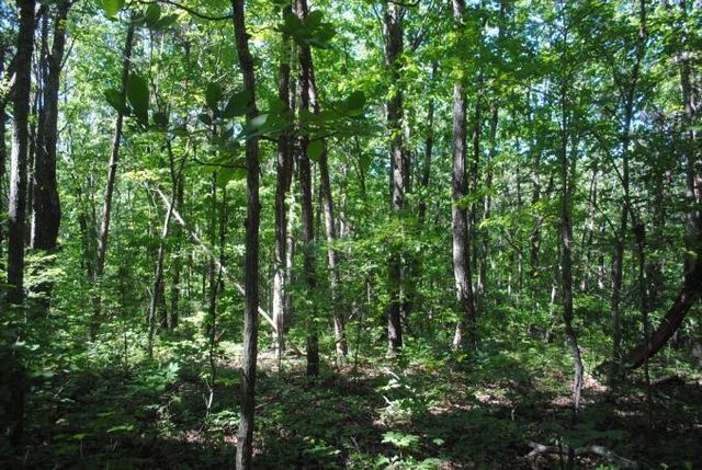 0 S Marble Top Road, Chickamauga, GA 30707