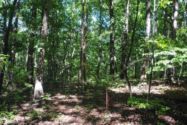0 S Marble Top Road, Chickamauga, GA 30707