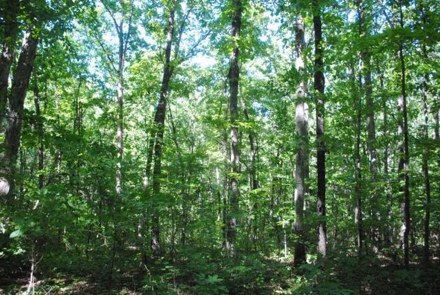 0 S Marble Top Road, Chickamauga, GA 30707