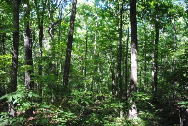 0 S Marble Top Road, Chickamauga, GA 30707